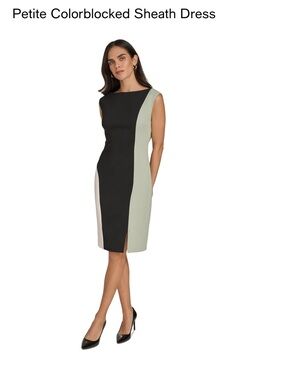 Calvin Klein Black, Sage and Cream Colorblock Midi Sheath Dress